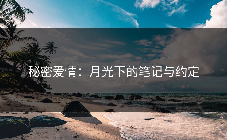 秘密爱情：月光下的笔记与约定