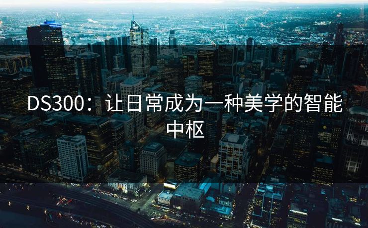 DS300:让日常成为一种美学的智能中枢 DS300:让日常成为一种美学的智能中枢